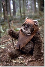 wicket